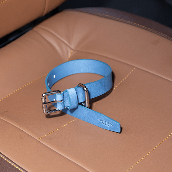 La Dog Collar - BluScarpa