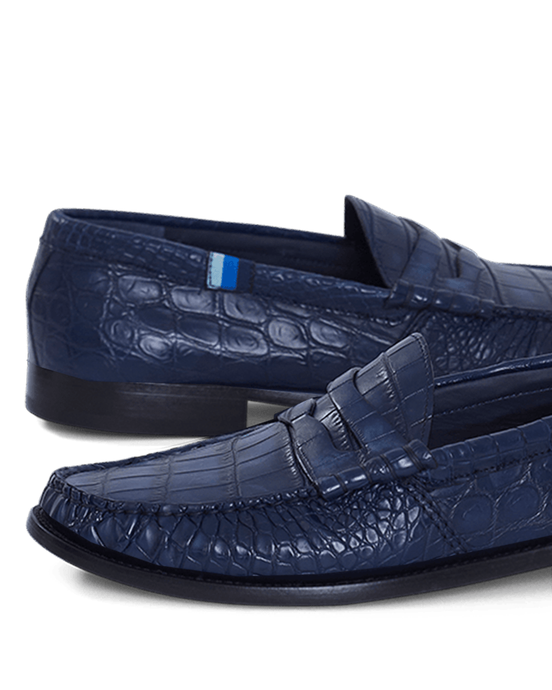 La Crocodile College - BluScarpa